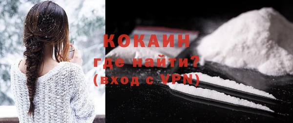 эйфоретик Арсеньев