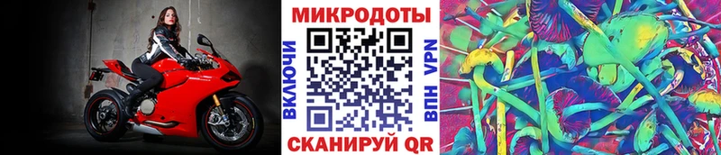 купить наркотики цена  Сясьстрой  Псилоцибиновые грибы Cubensis 